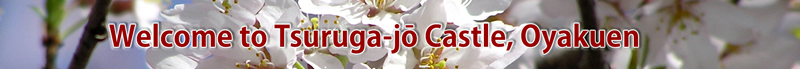 Welcome to Tsurugajo Castle, Oyakuen