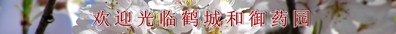 Welcome to Tsurugajo Castle, Oyakuen