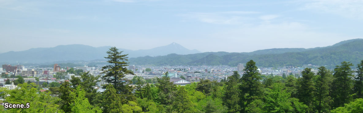 Tsurugajo Castle scene5