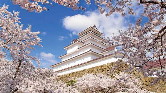 Tsurugajo Castle spring