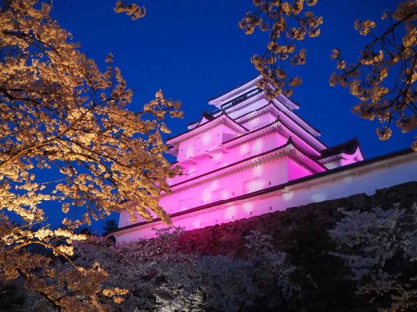 春の鶴ヶ城公園ライトアップ