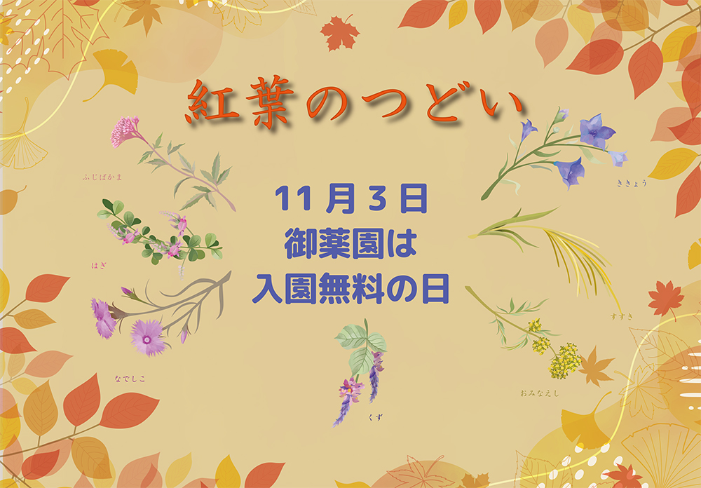 御薬園紅葉のつどい